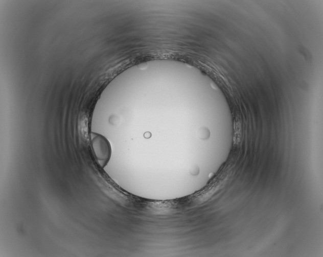 X0000112170238200908071006