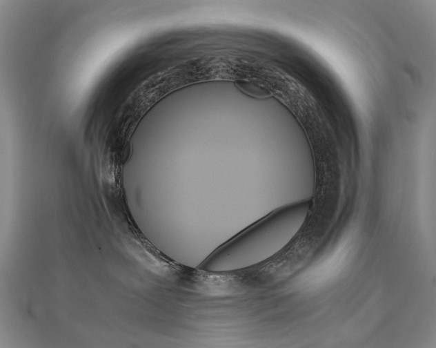 X0000112170239200908071006
