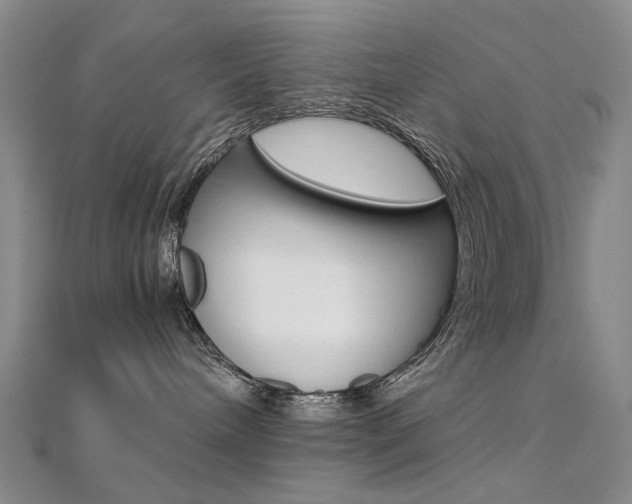 X0000112170240200908071006