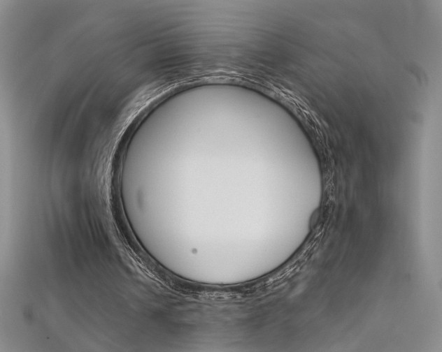 X0000112170242200908071005