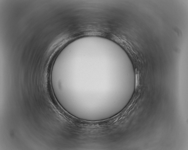 X0000112170243200908071005