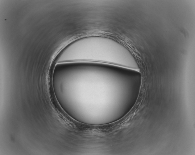 X0000112170244200908071005