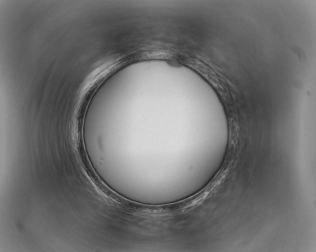 X0000112170245200908071005