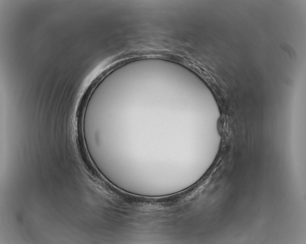 X0000112170246200908071005