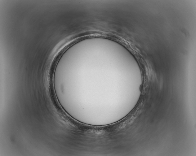 X0000112170247200908071005