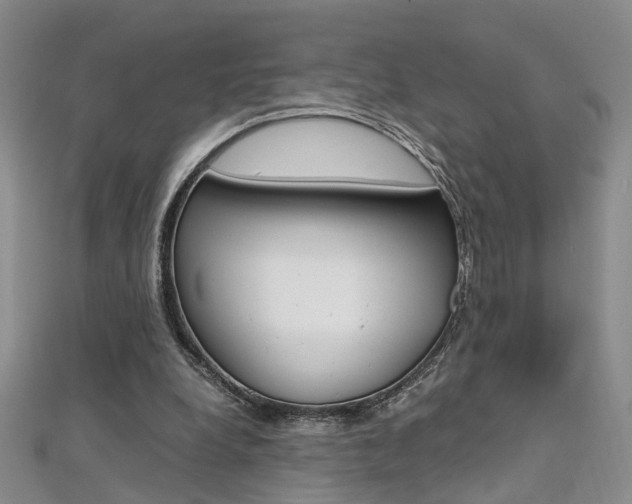 X0000112170248200908071005