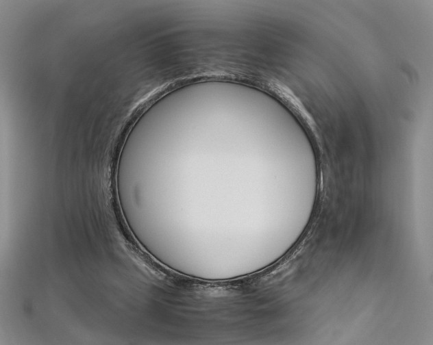 X0000112170249200908071005
