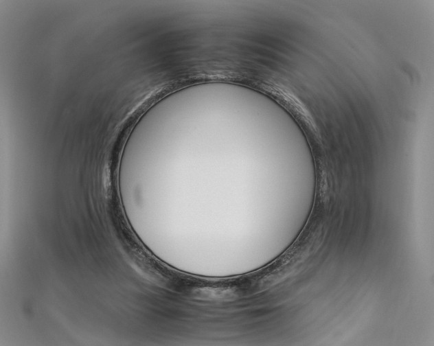 X0000112170251200908071005