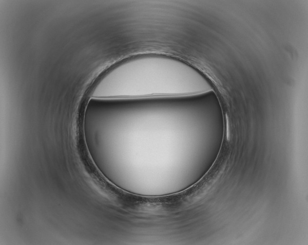 X0000112170252200908071005