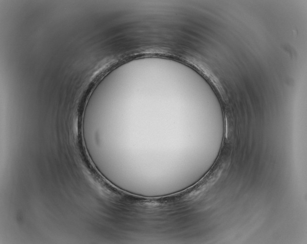 X0000112170253200908071005