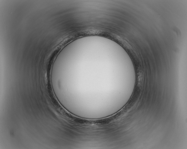 X0000112170254200908071005