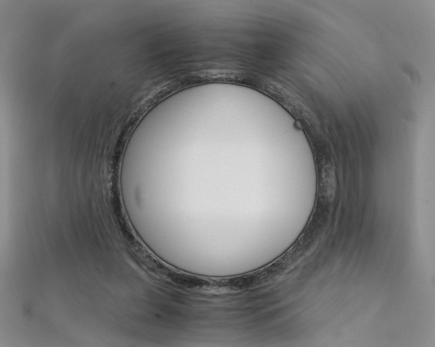X0000112170255200908071005