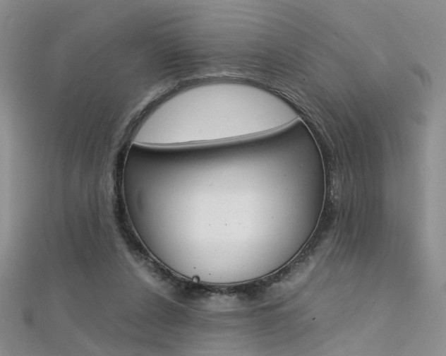 X0000112170256200908071005