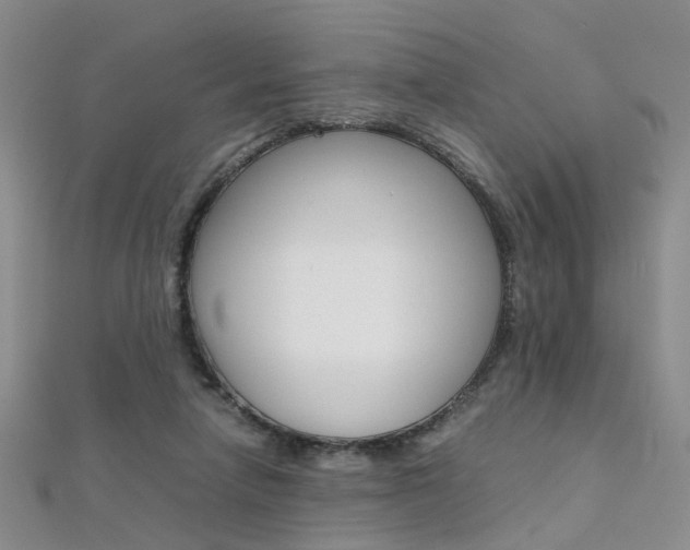 X0000112170258200908071005
