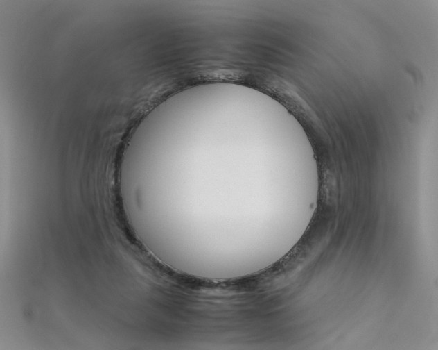 X0000112170259200908071005