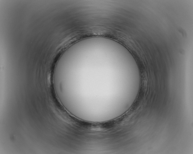 X0000112170262200908071005