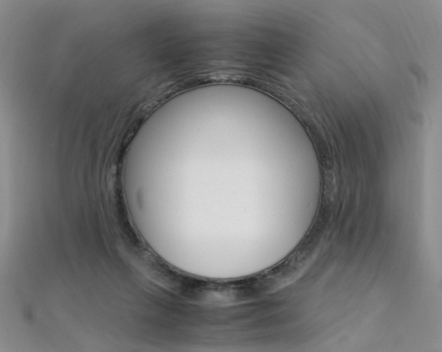 X0000112170263200908071005