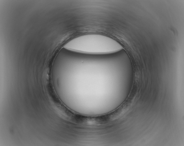 X0000112170264200908071005