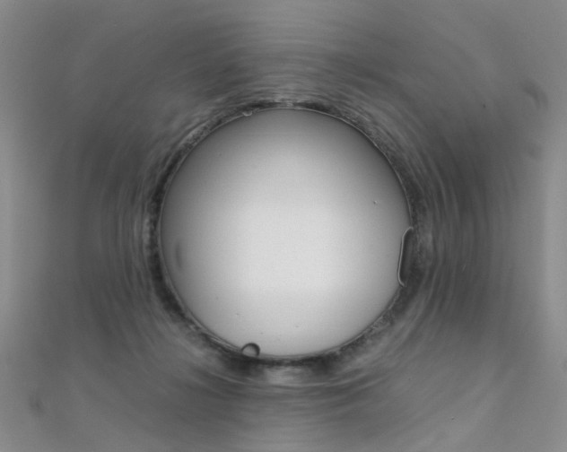 X0000112170268200908071005