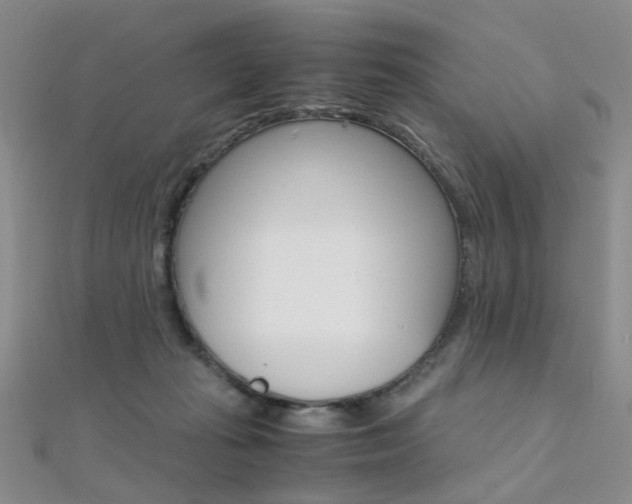 X0000112170269200908071005