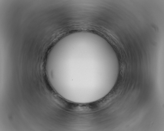 X0000112170270200908071005