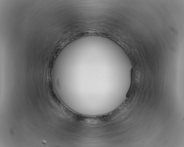 X0000112170272200908071005