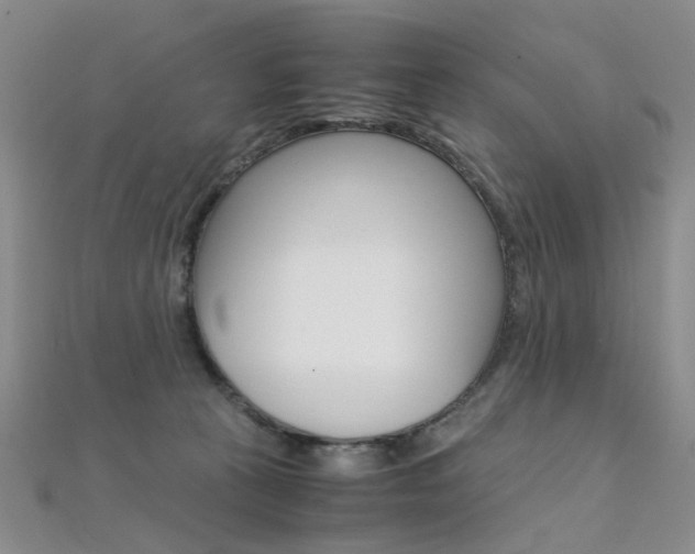 X0000112170273200908071005