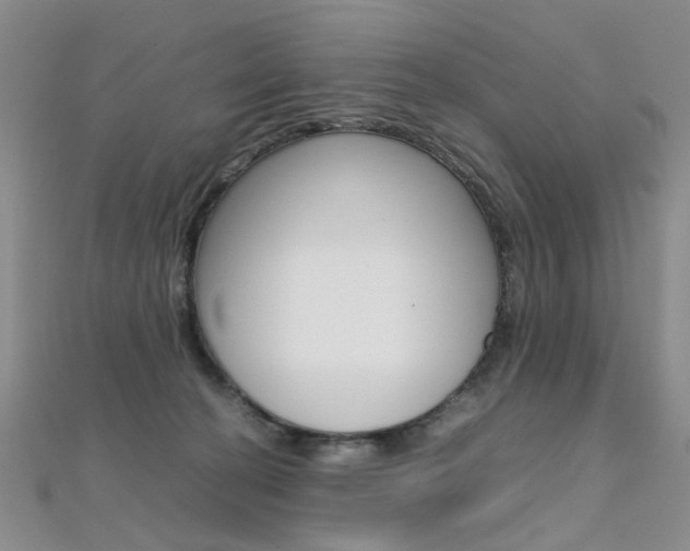 X0000112170274200908071005