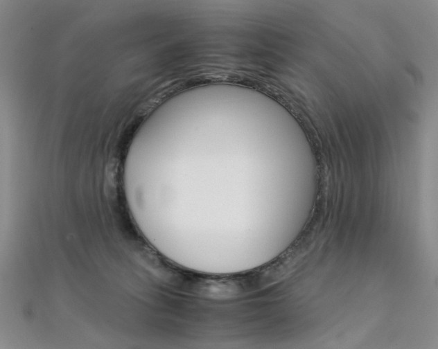 X0000112170275200908071005