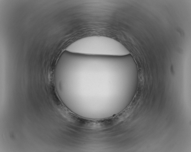 X0000112170276200908071005