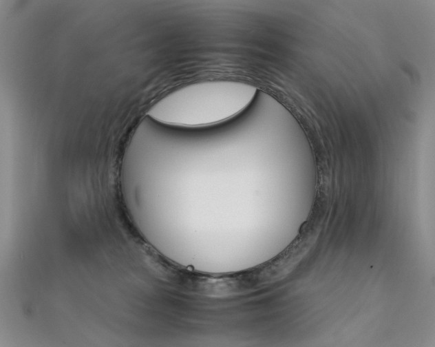 X0000112170277200908071005