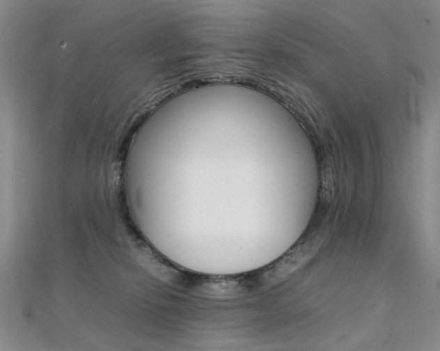 X0000112170278200908071005