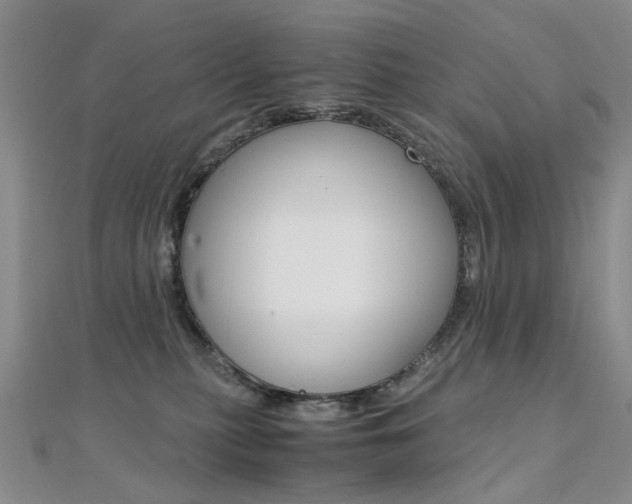X0000112170279200908071005