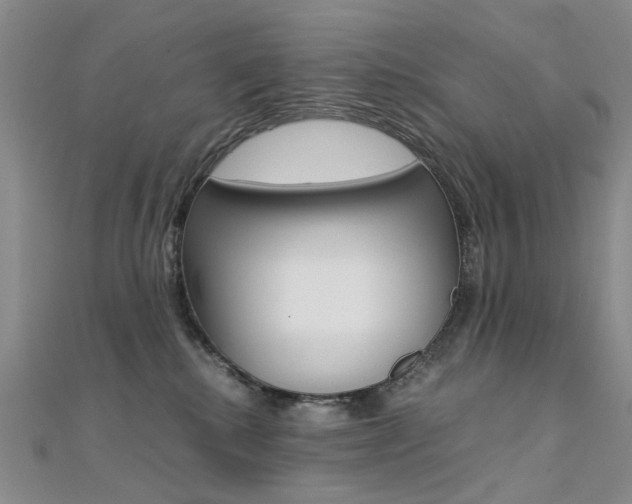 X0000112170280200908071005