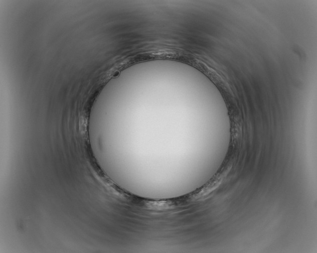 X0000112170281200908071005