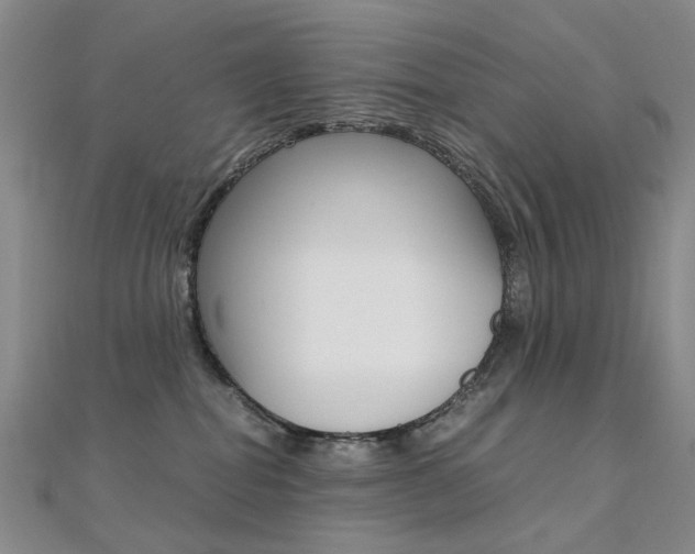 X0000112170282200908071006