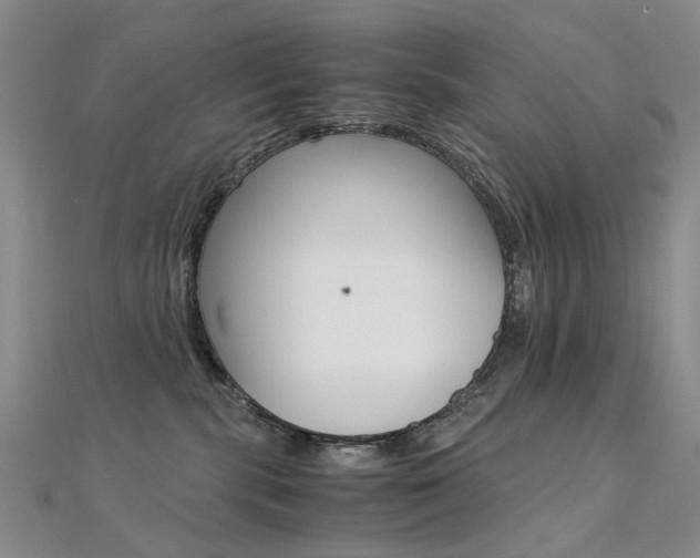 X0000112170283200908071006