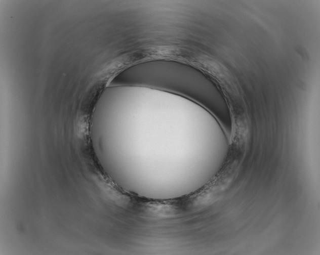 X0000112170284200908071006