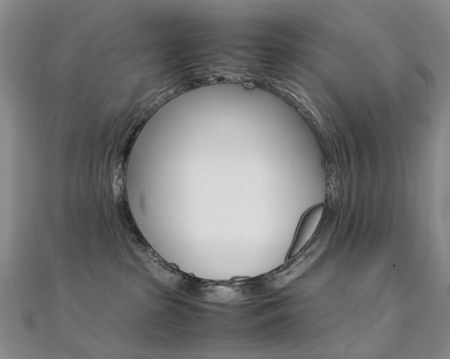 X0000112170285200908071006