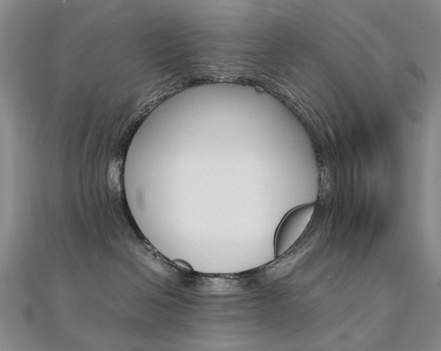 X0000112170286200908071006