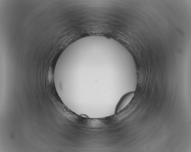 X0000112170287200908071006