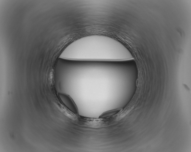 X0000112170288200908071006