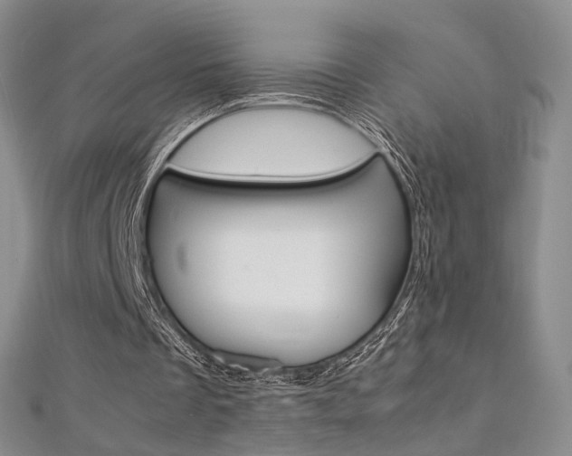 X0000112170289200908071005