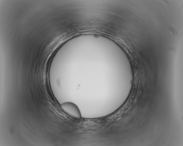 X0000112170290200908071005
