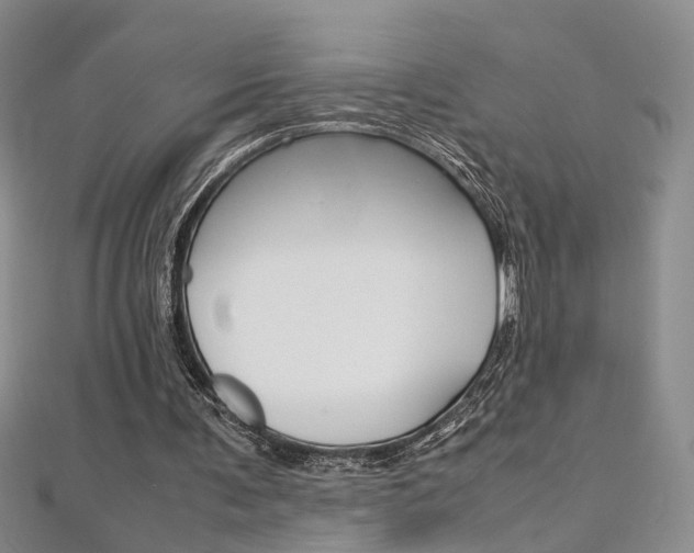 X0000112170291200908071005