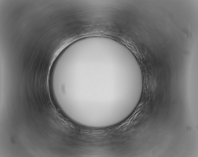 X0000112170292200908071005