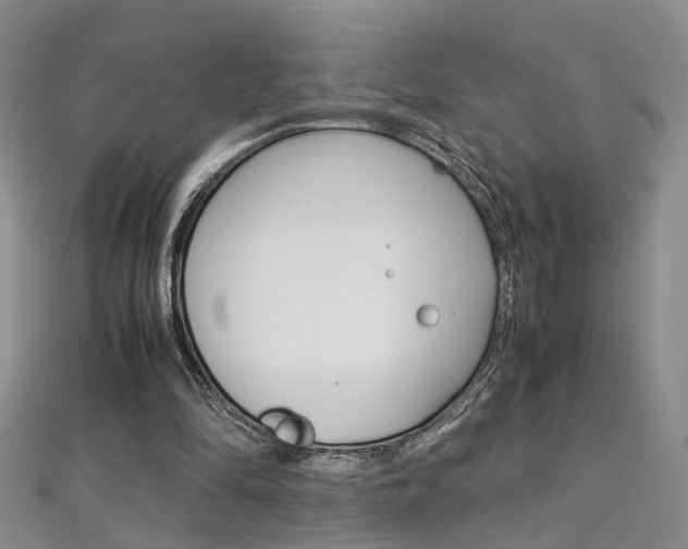 X0000112170294200908071005