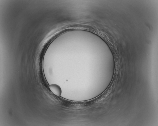 X0000112170295200908071005