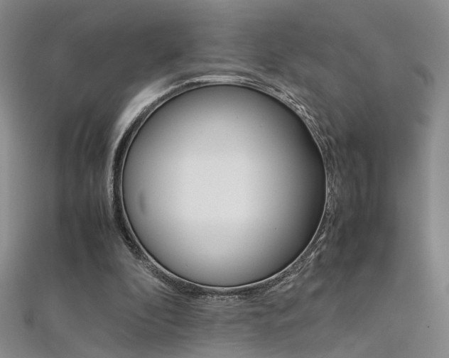 X0000112170296200908071005