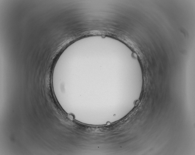 X0000112170297200908071005